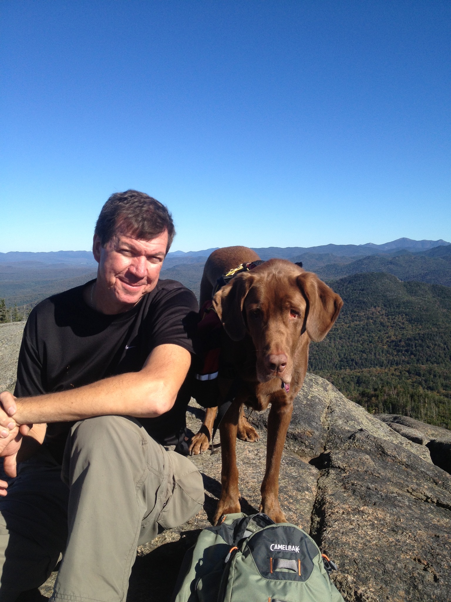 Mark Herrgott wastes escorts’ time